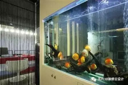 房間放魚缸 風水|臥室放魚缸好嗎？臥室魚缸講究多